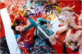 梦実资料,探索梦境与现实交织的奇幻世界