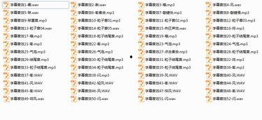 综艺节目里的搞笑音效,揭秘综艺搞笑音效背后的秘密