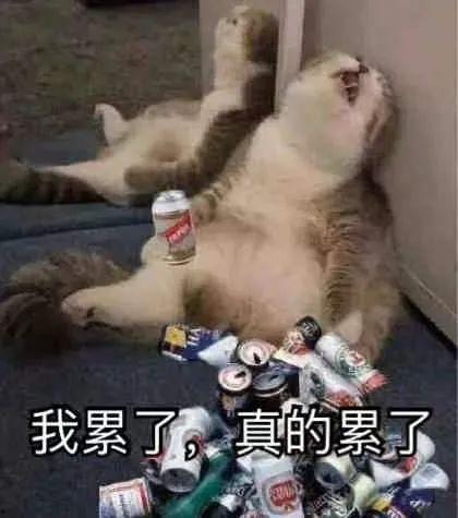 累瘫 表情包