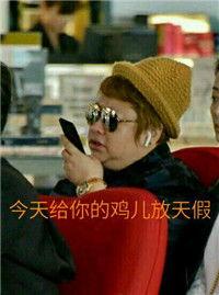 韩红鸡儿表情包 出自